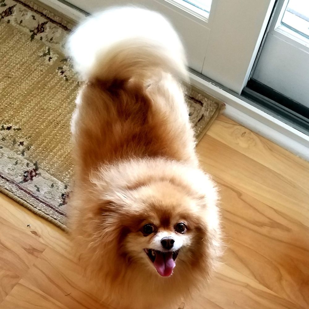 Meet your Posher, Kat